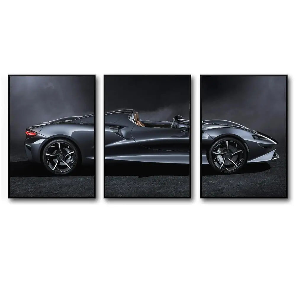 Toile 3 pièces Mclaren Elva