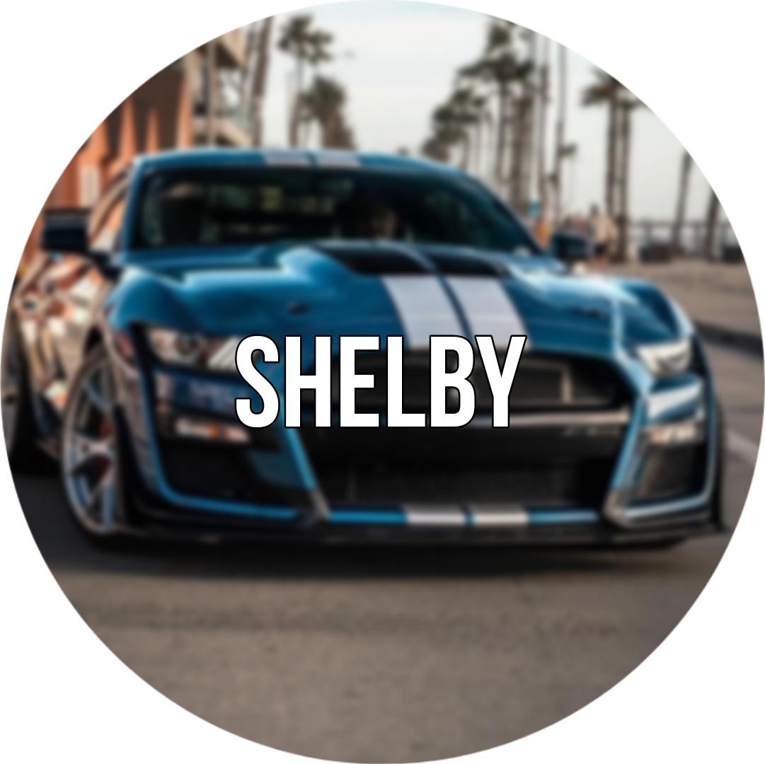 Shelby