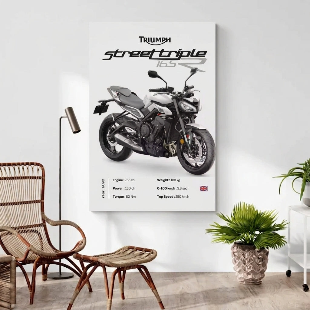 Toile Triumph Street Triple 765 R