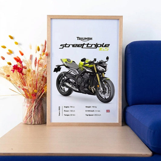 Toile Triumph Street Triple 765