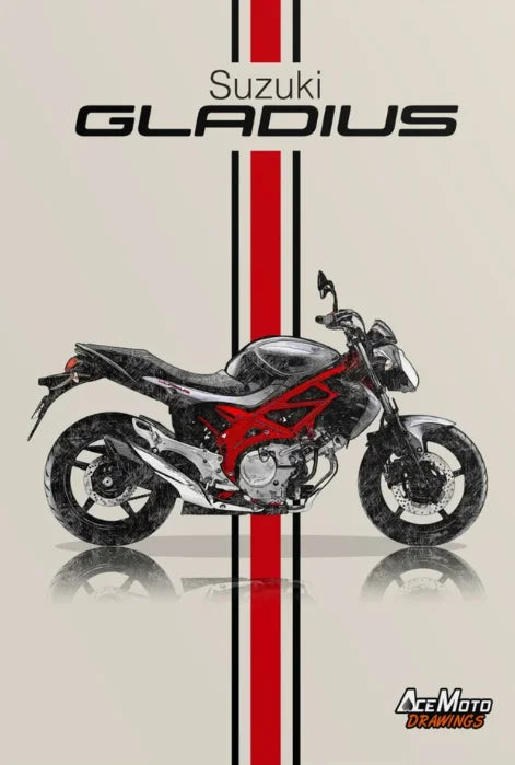 Toile Suzuki Gladius