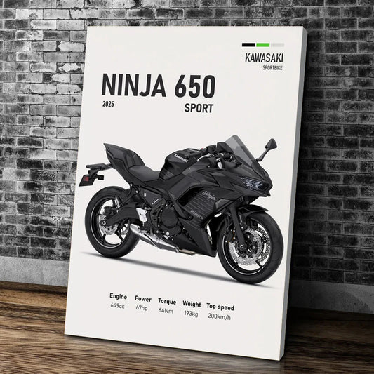 Toile Kawasaki Ninja 650