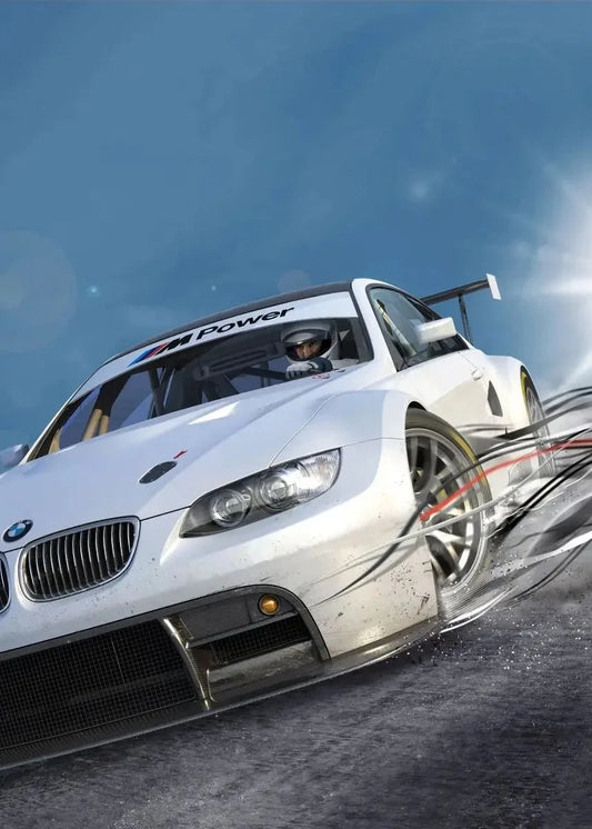 Toile Need For Speed Shift