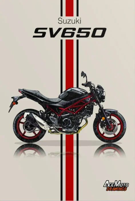 Toile Suzuki SV650