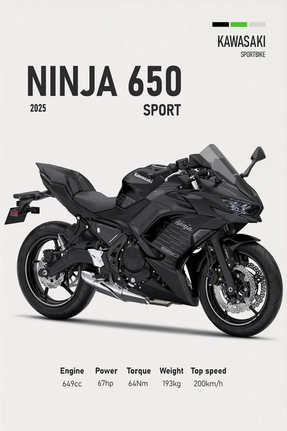 Toile Kawasaki Ninja 650